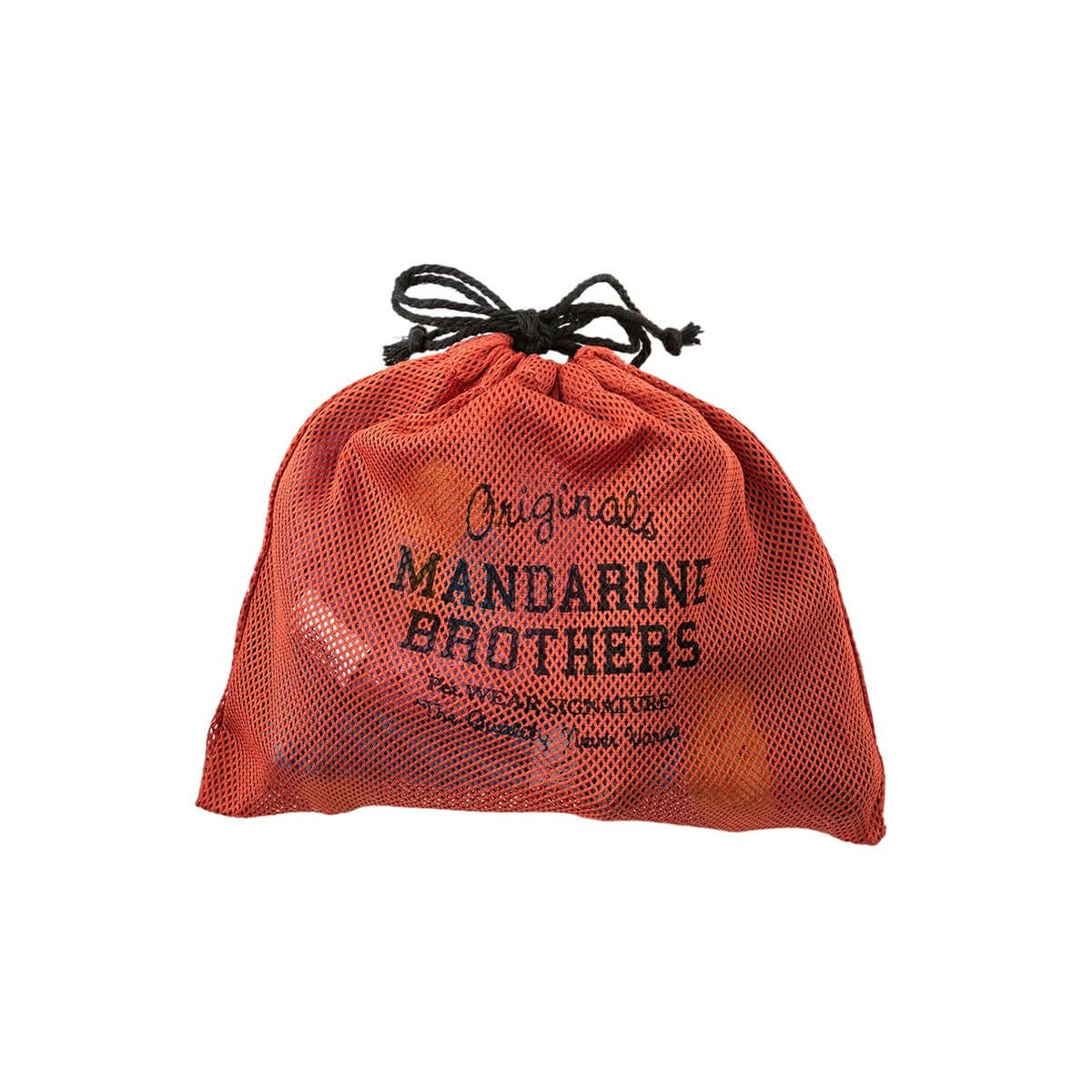 アルファベット ロープ トイ-CHEW