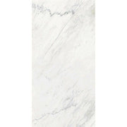 マルミマキシマム