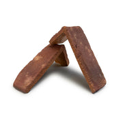 キャン’ブリック モンタナ