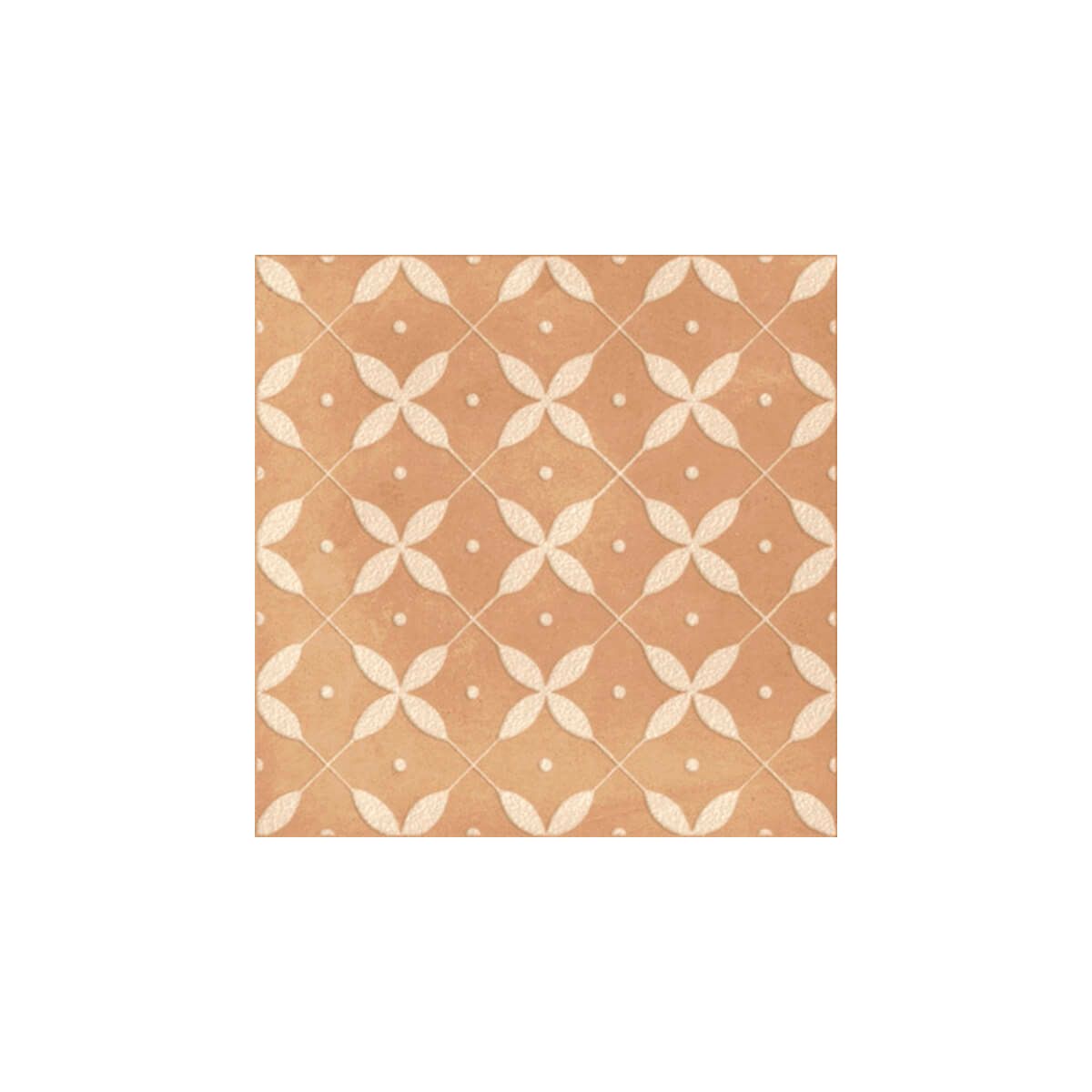 コットアムーリ