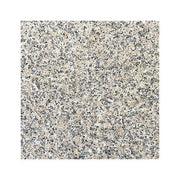 マルコポーロ（磨き）