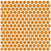 ハイカラー【V】