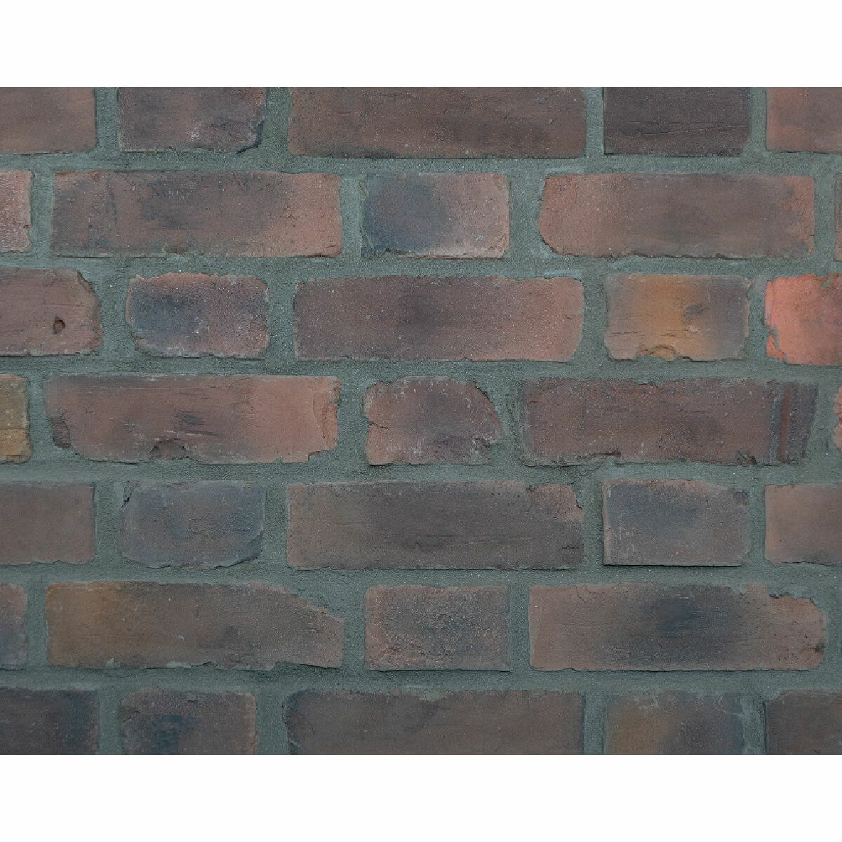 キャン’ブリック ケンブリッジ