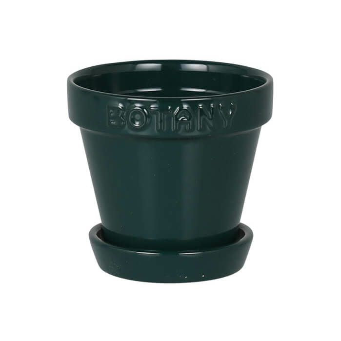 ボタニー ポット 3  G21-0395XS/GR