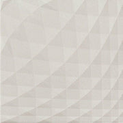 ニュートランス（レリーフ）<br>エコカラットプラス