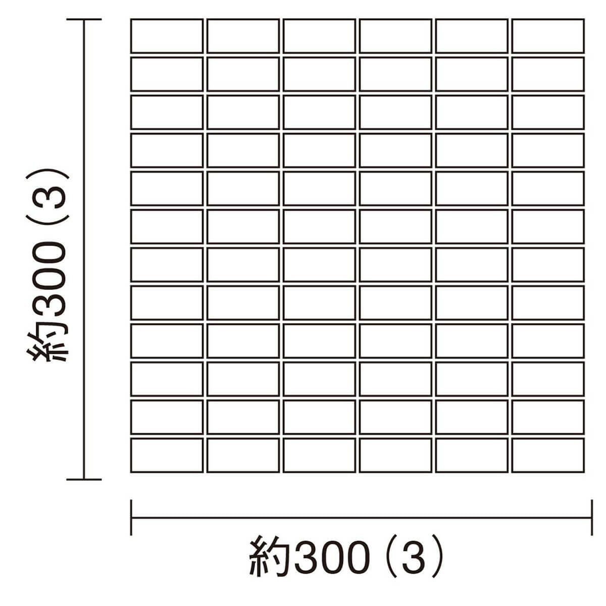 セリエビアンカII