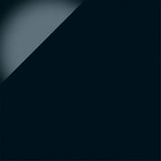 ニューセンチュリー