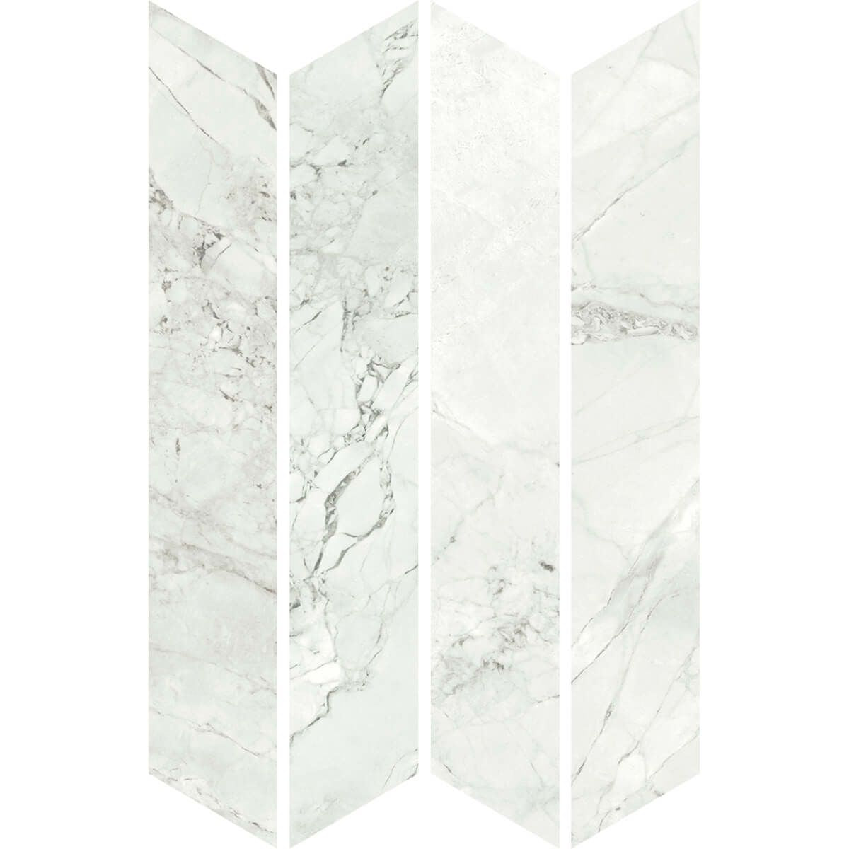 クラシコマルモ