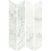 クラシコマルモ