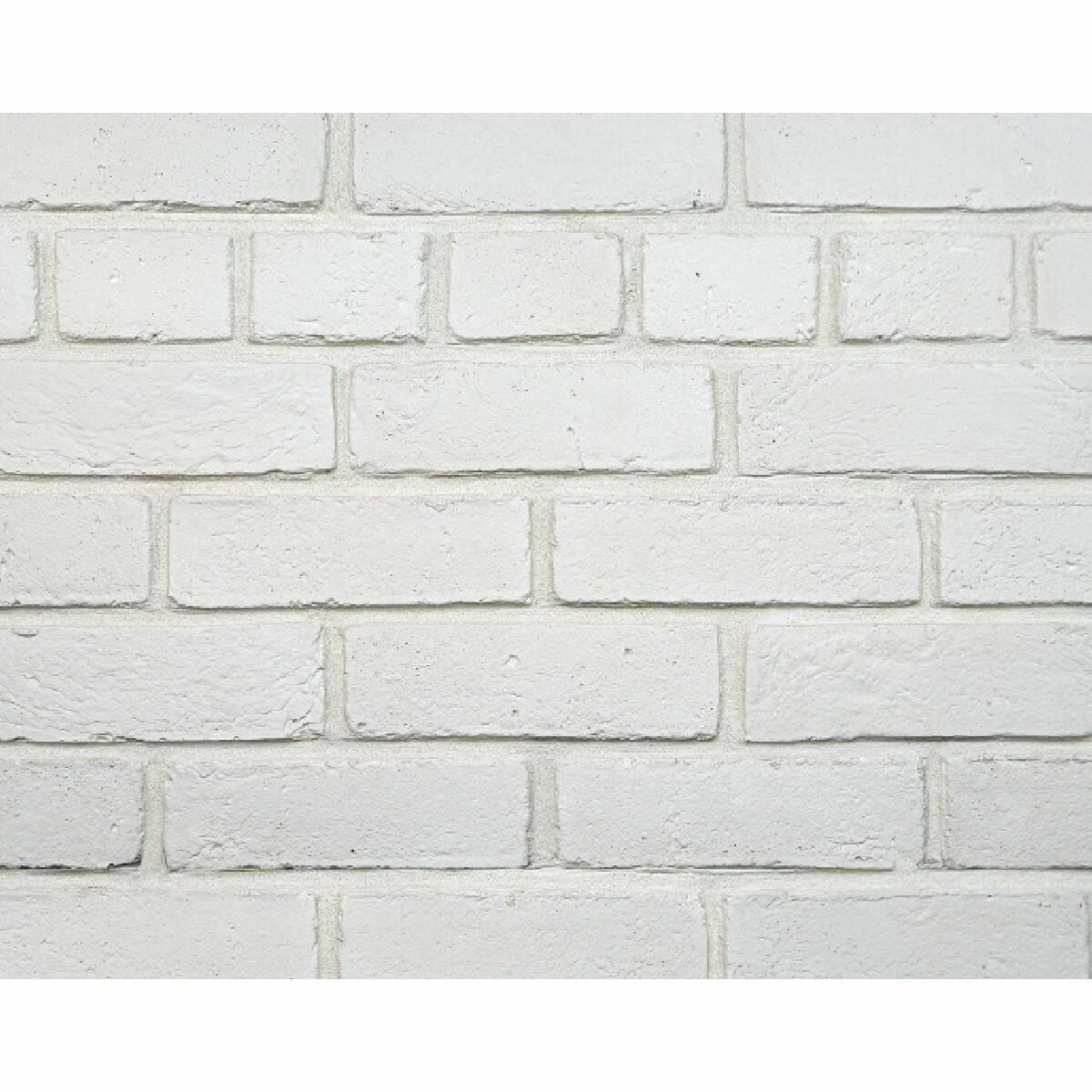 キャン’ブリック シロブリ