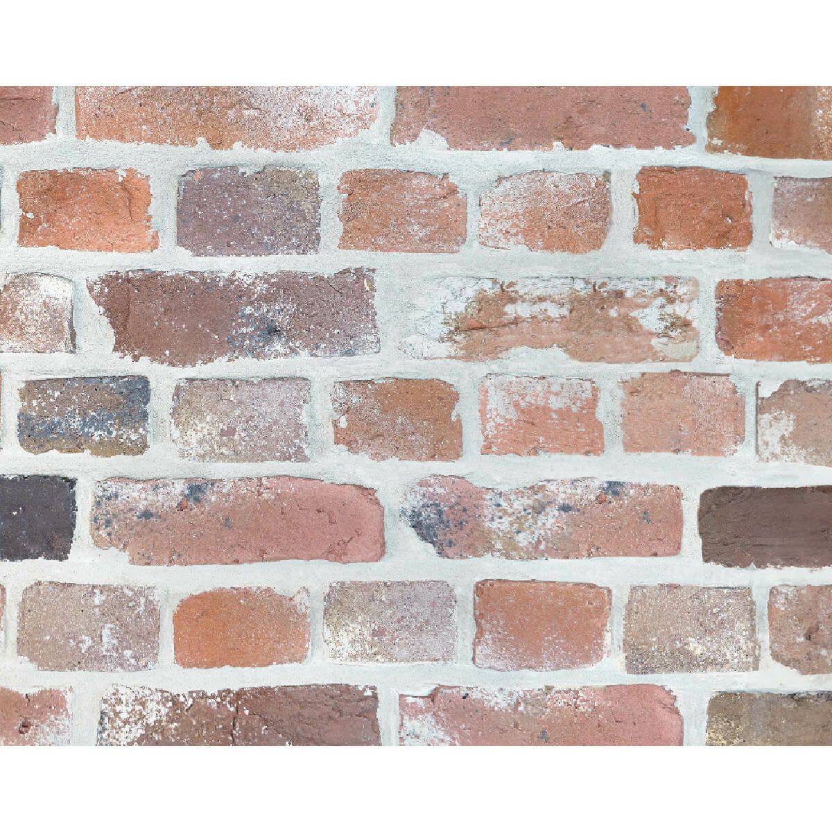 キャン’ブリック マンチェスター