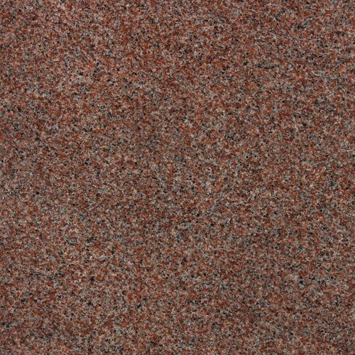 マルコポーロ（磨き）