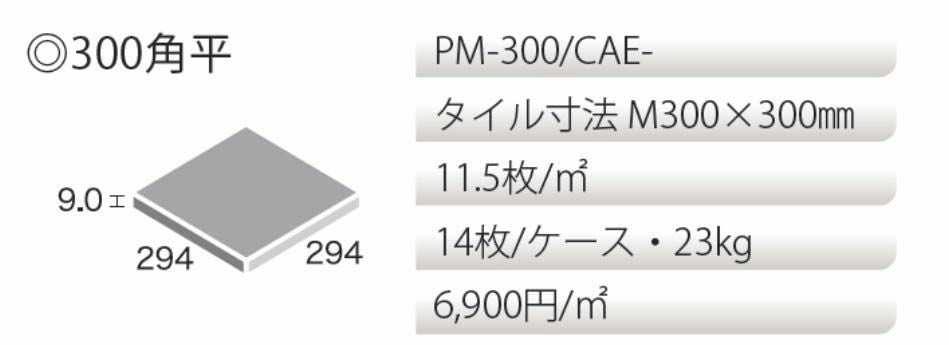 カーネ