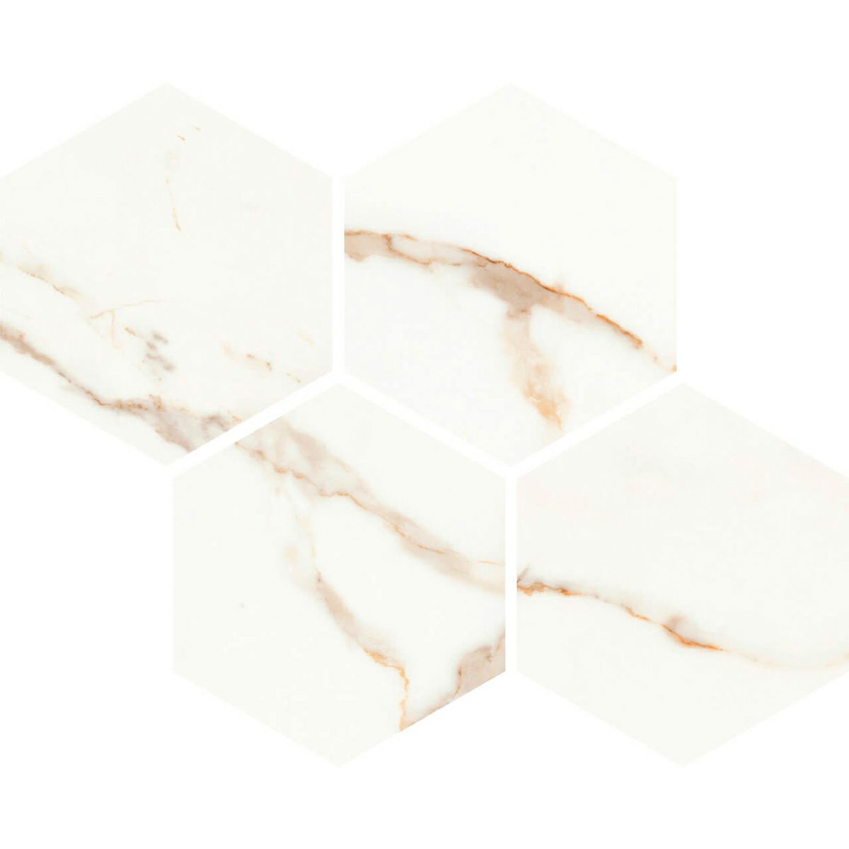 クラシコマルモ