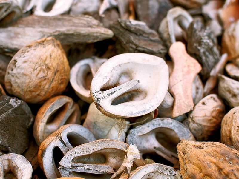 くるみの殻（500g・1kg）観葉植物やお庭のマルチング材に KURUMI