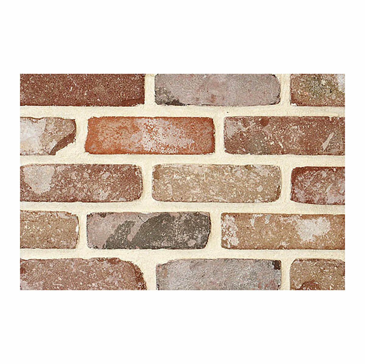 ラスティックネイム