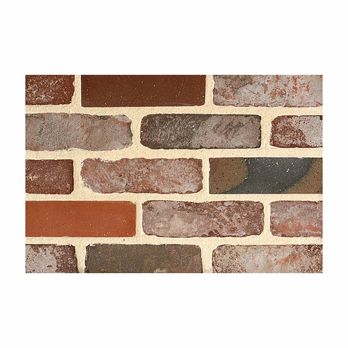 ラスティックネイム