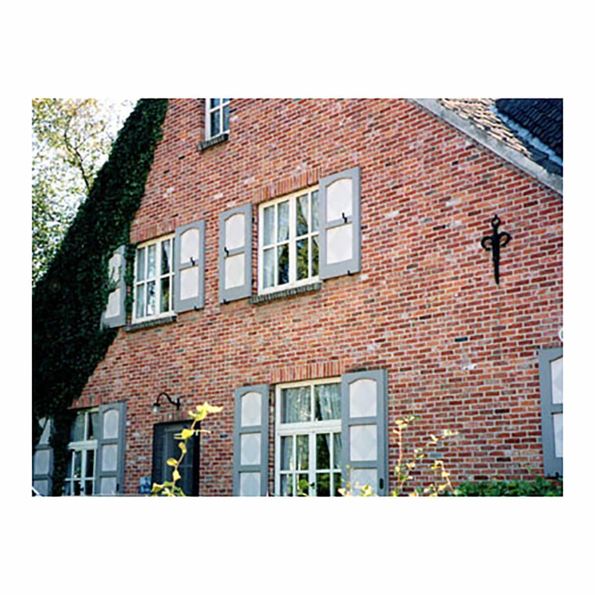 ラスティックネイム