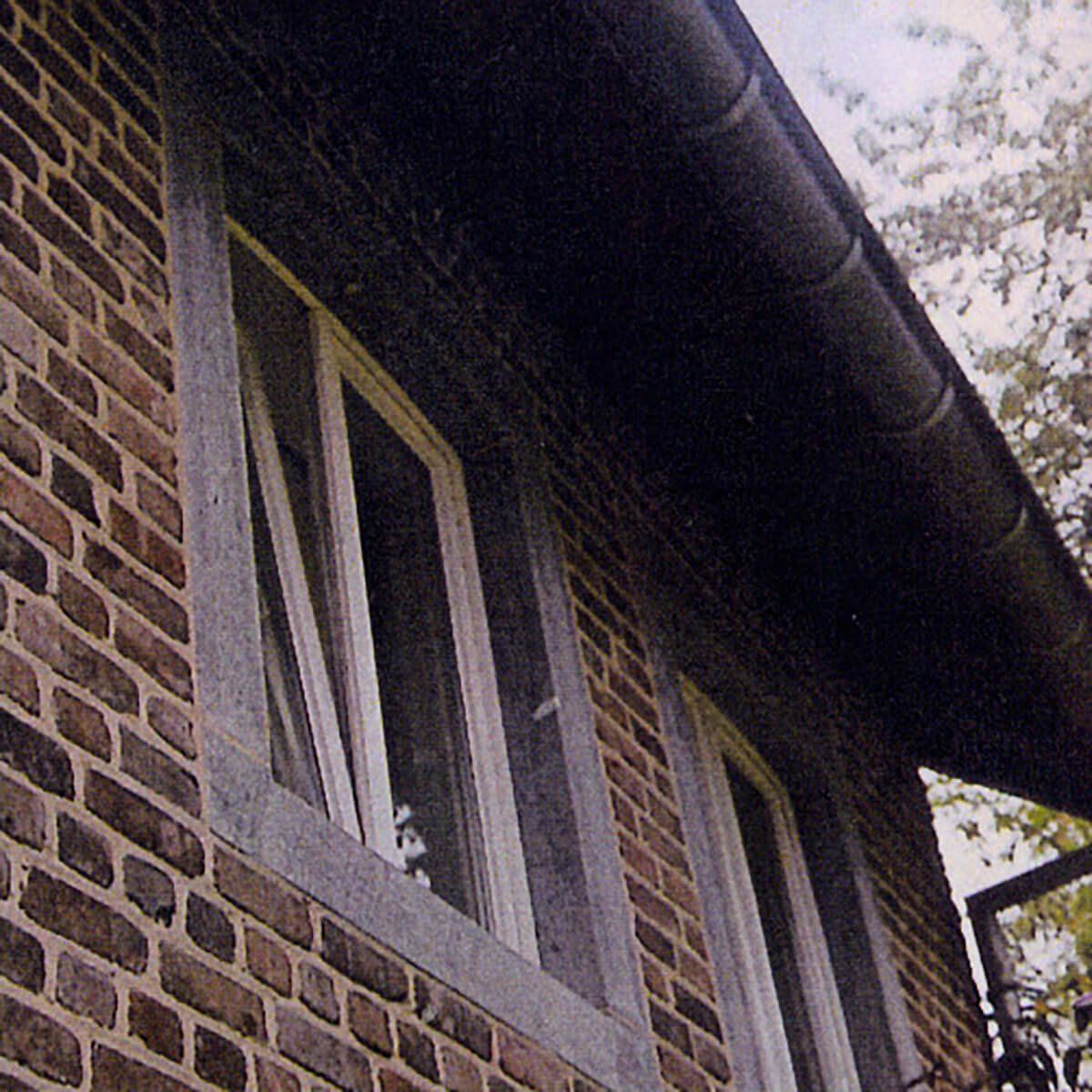 ラスティックネイム