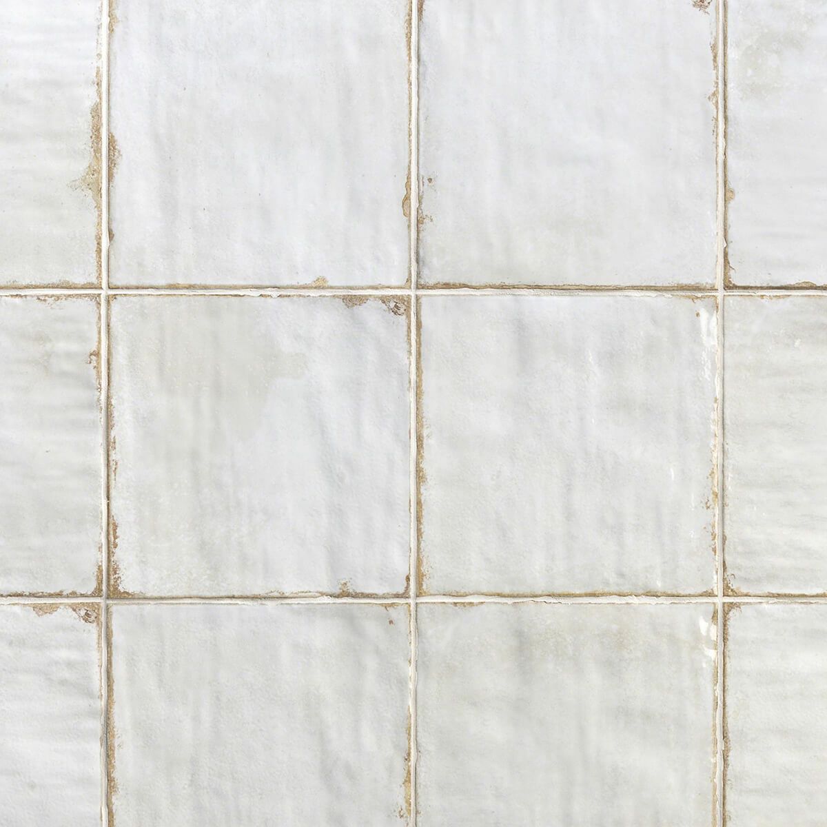 LIVORNO - リヴォルノ（BLANCO）旧ダンモア