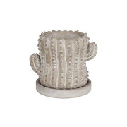 セメント ポット カクタス ペルーヴィアン アップル S  G20-0221S
