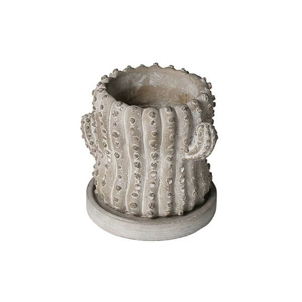 セメント ポット カクタス ペルーヴィアン アップル S  G20-0221S