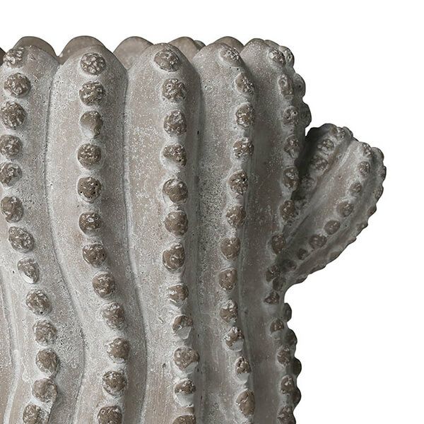 セメント ポット カクタス ペルーヴィアン アップル S  G20-0221S