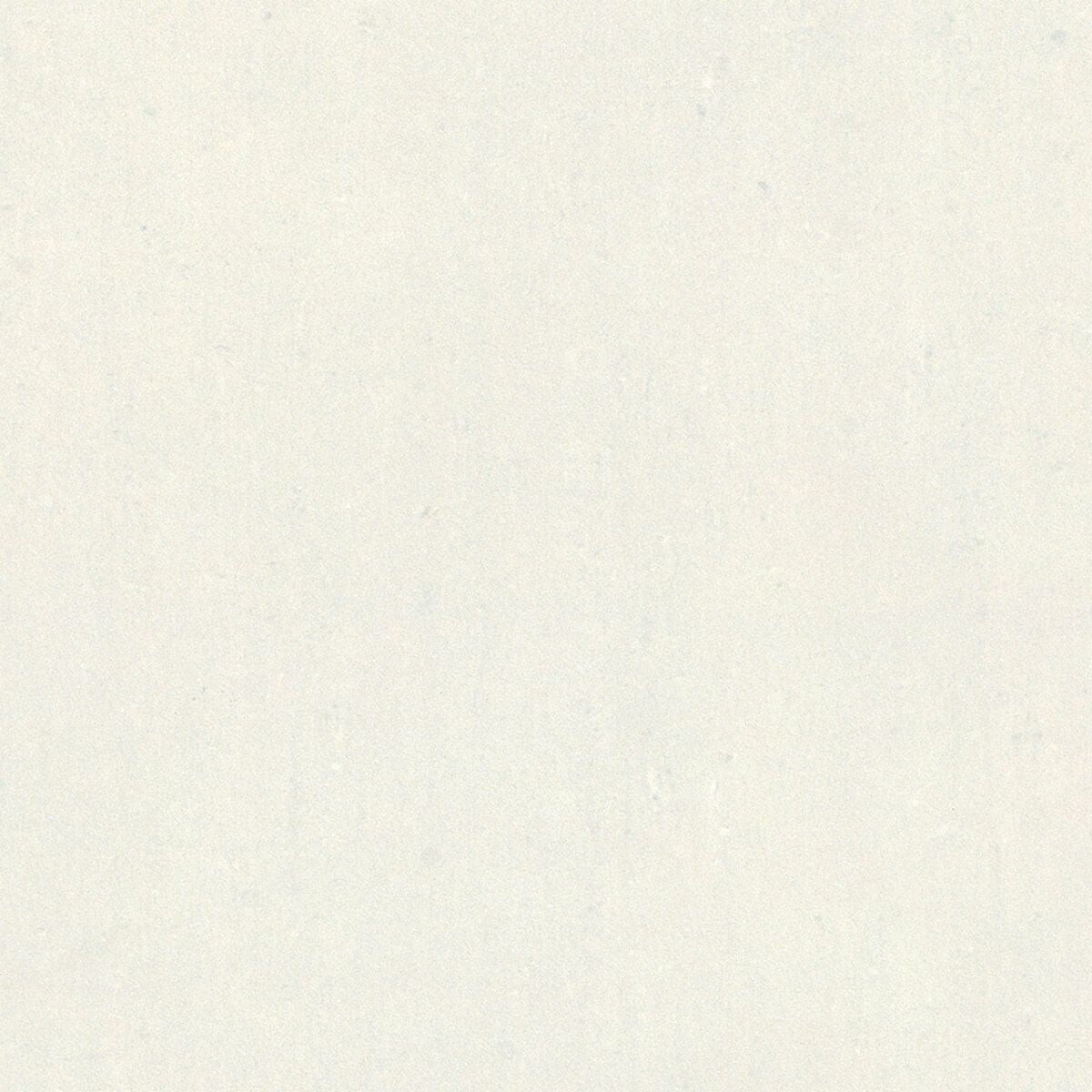 ノブルヌーク（磨き）