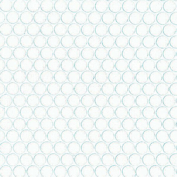 ハイカラー【V】