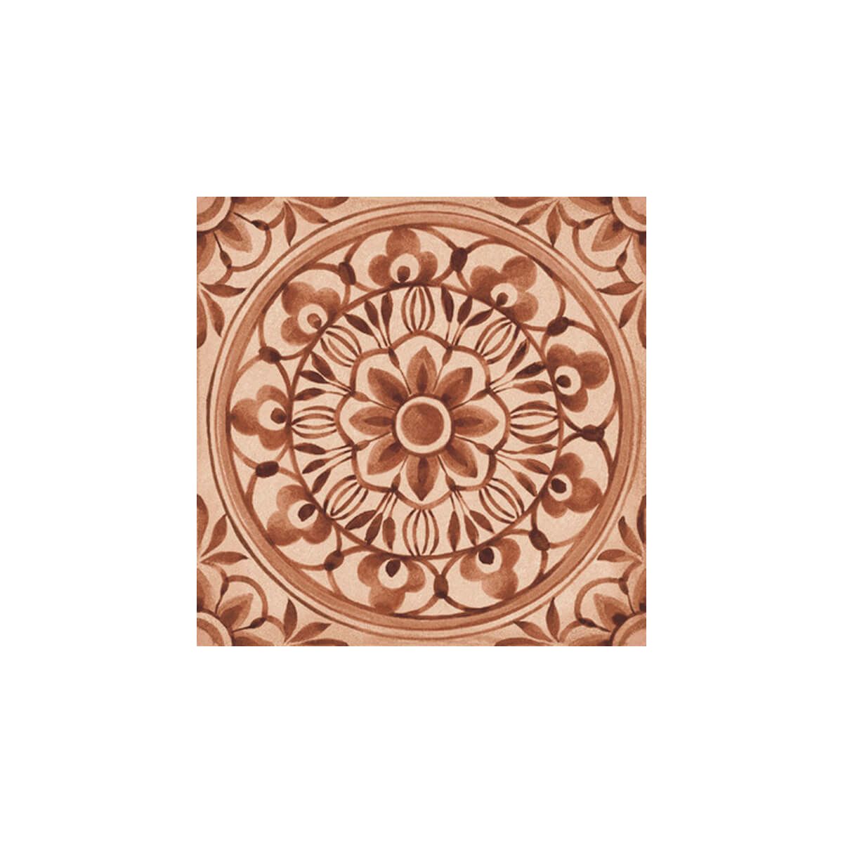 コットアムーリ