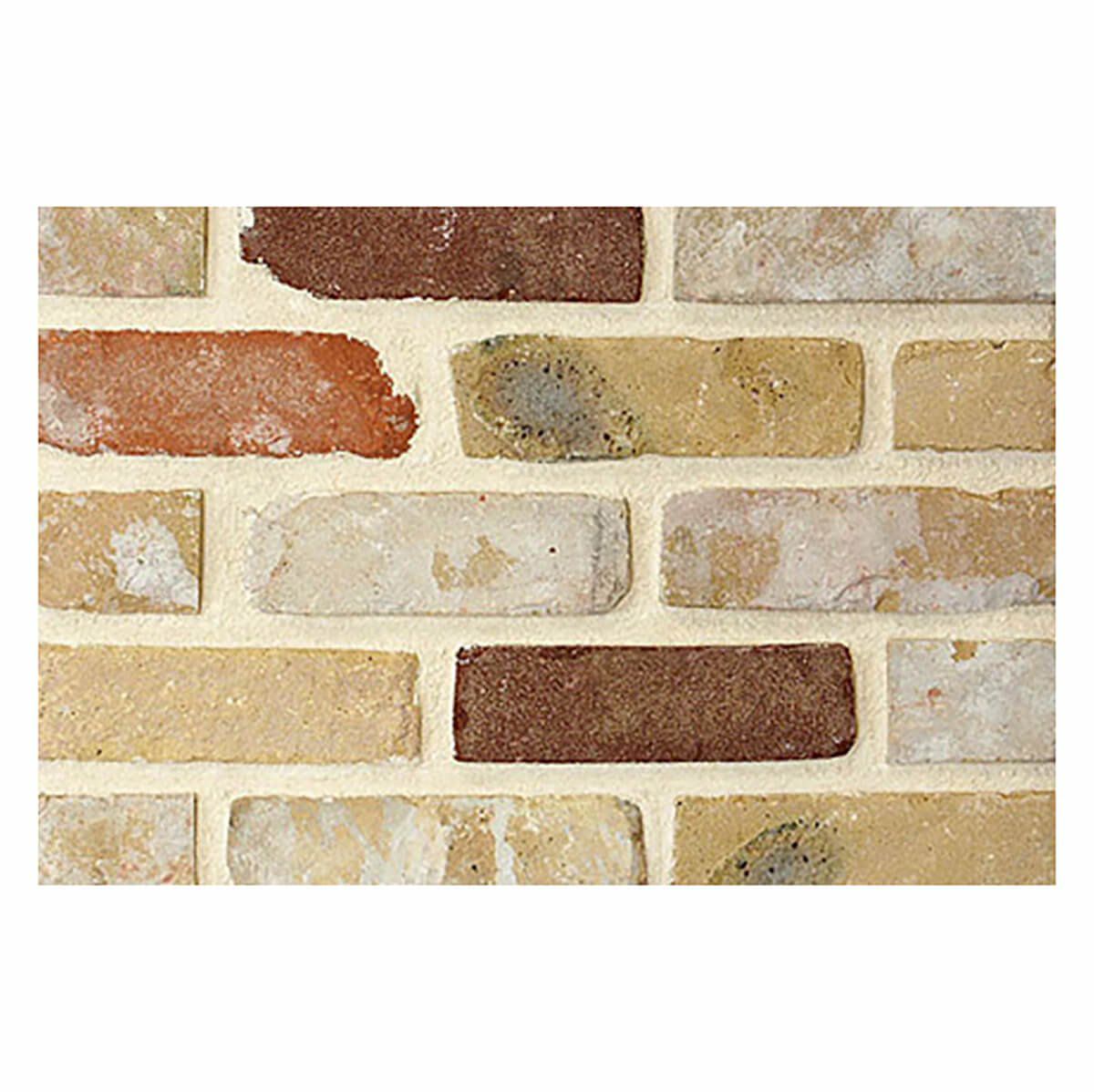 ラスティックエナン