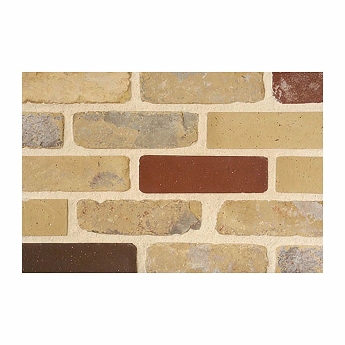 ラスティックエナン