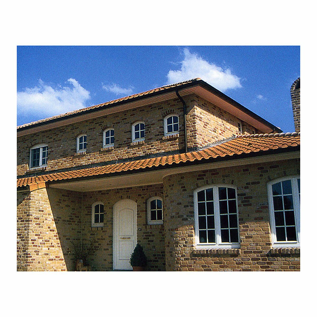 ラスティックエナン