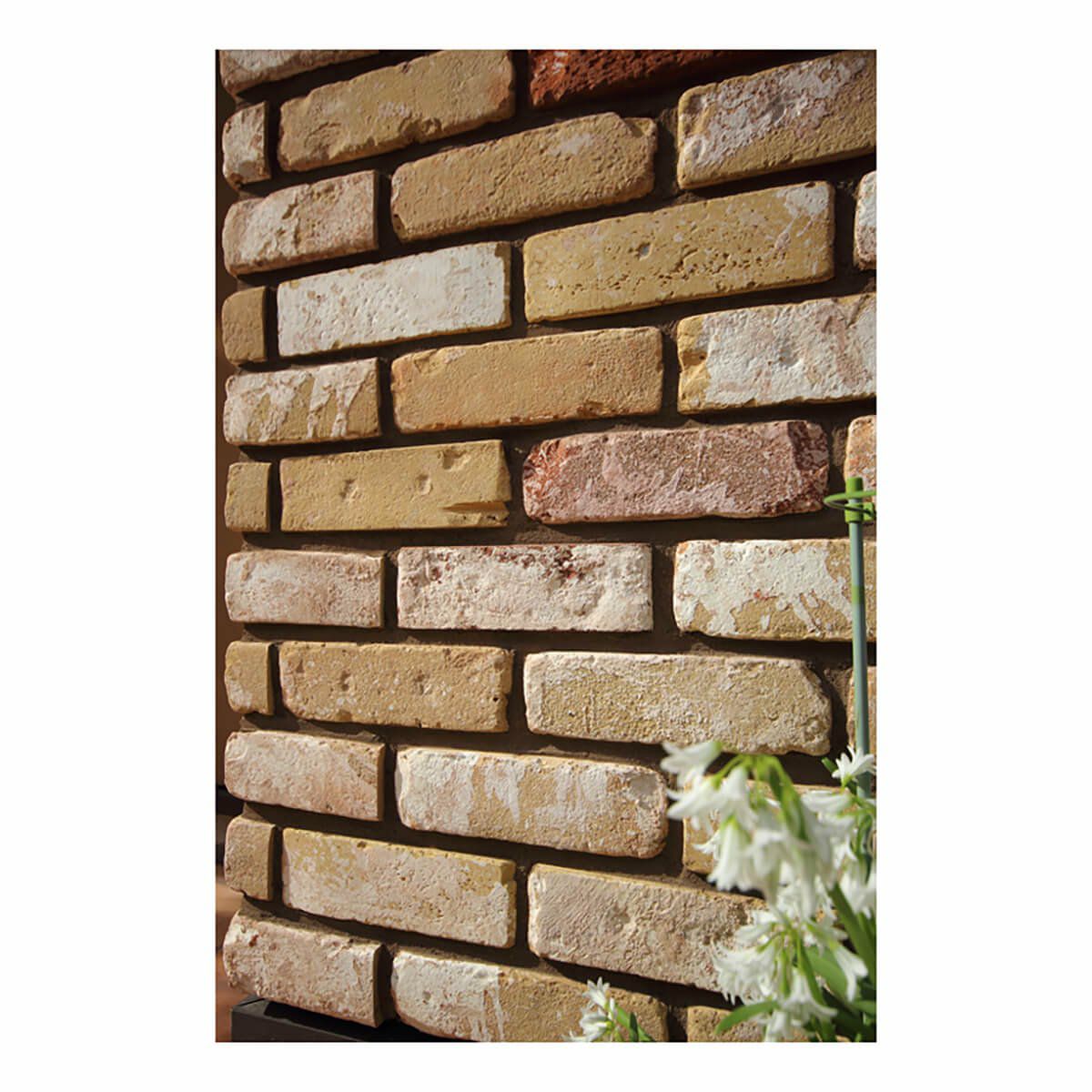 ラスティックエナン