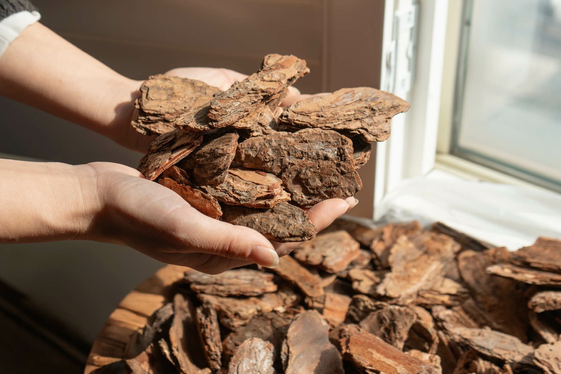 ナチュラルバーク Mサイズ