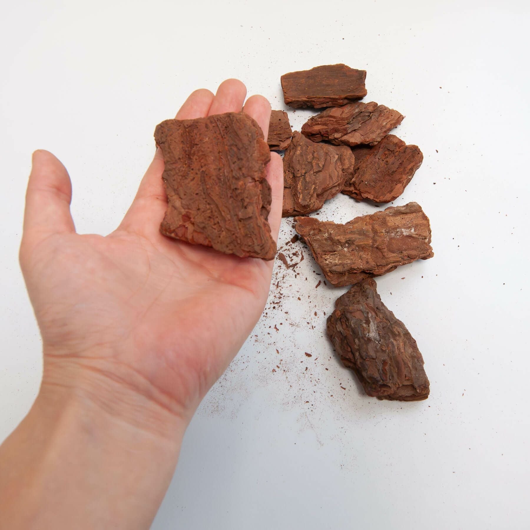 ナチュラルバーク Mサイズ