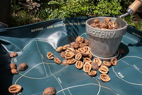 ボタニー ポット 5  G21-0395M/WT