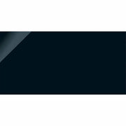 ニューセンチュリー