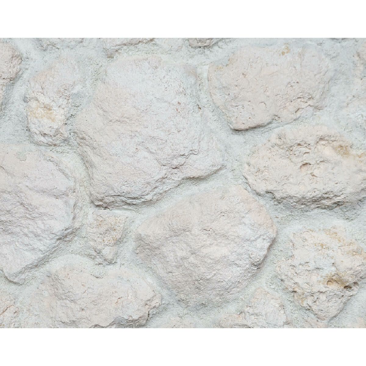 キャン’ストーン コーラル