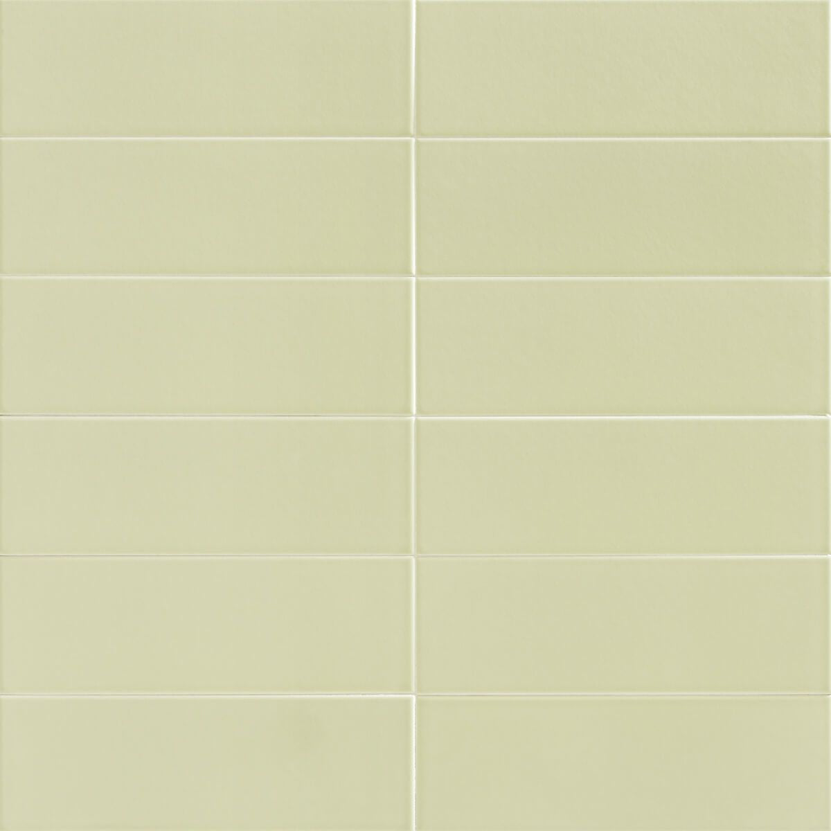 JUNGLE - ジャングル(MINT)