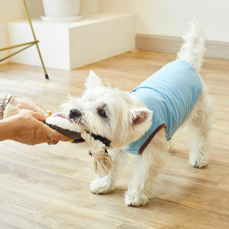 クレイジー ロープ トイ-OLD SCHOOL HIPHOP