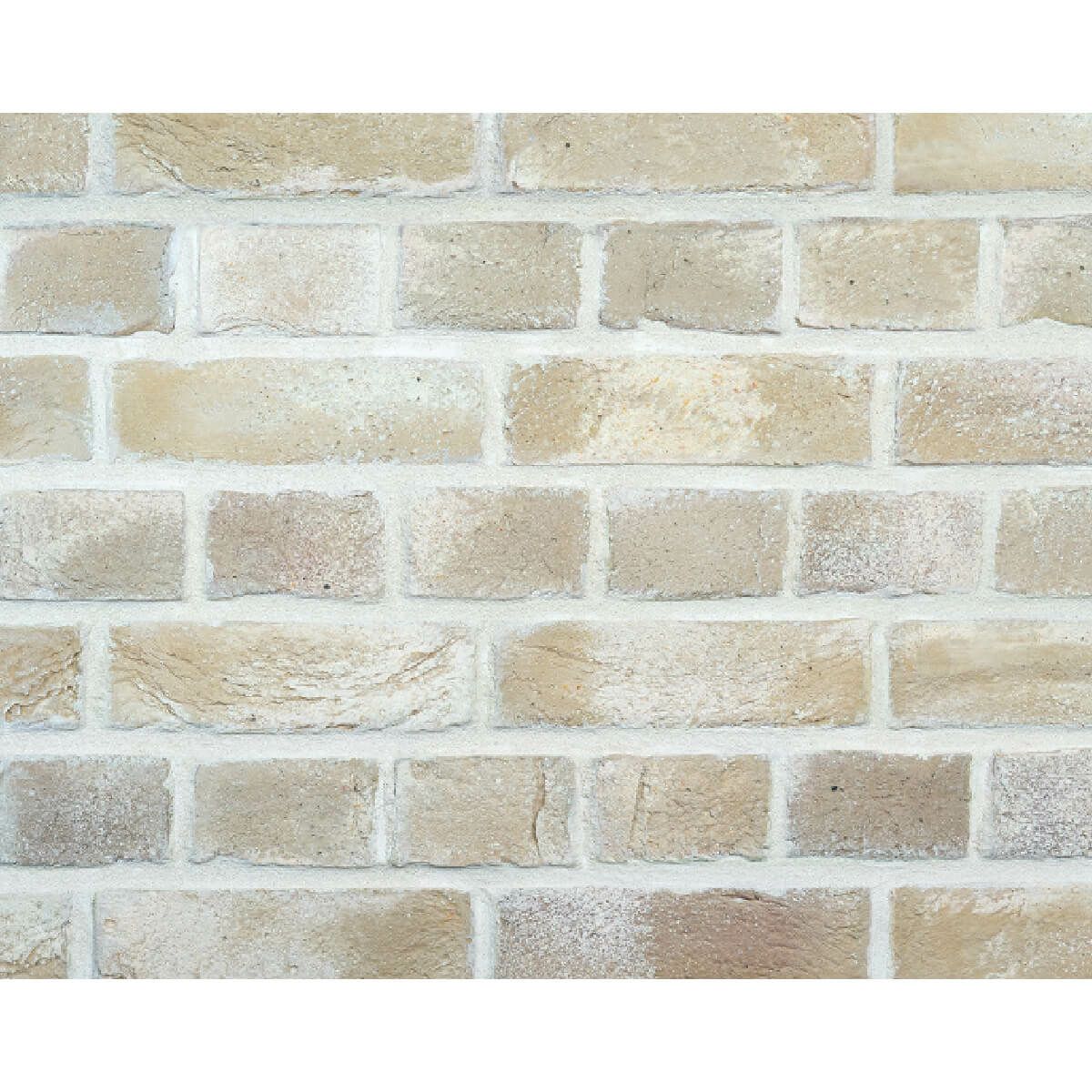 キャン’ブリック セントジェームス