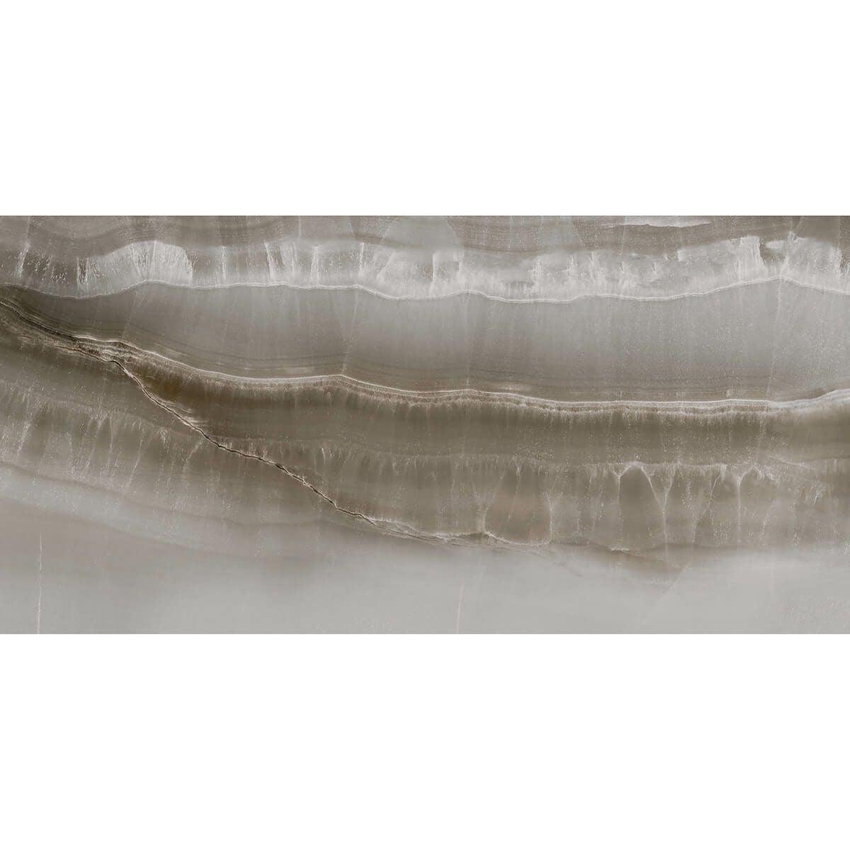 Akoya - アコヤ(Ocean)