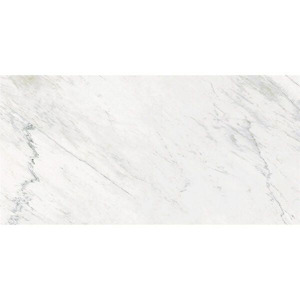 マルミマキシマム