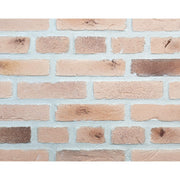 キャン’ブリック ネザーランド