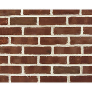 キャン’ブリック G.G. ケントランズ