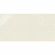 ニューセンチュリー