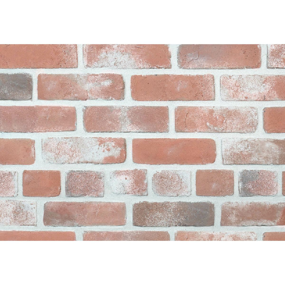 キャン’ブリック スタンダード