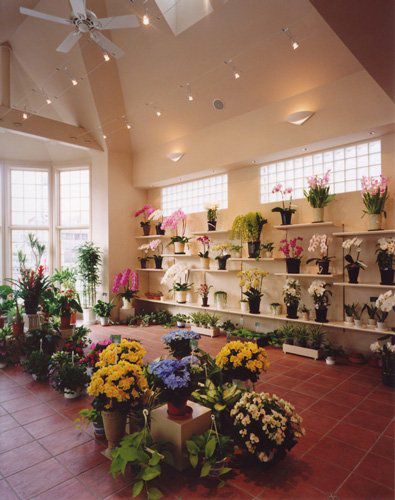 ＜限定在庫品＞HGT