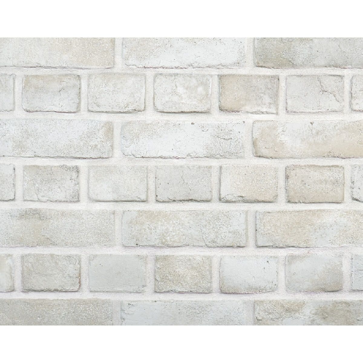 キャン’ブリック シロブリ